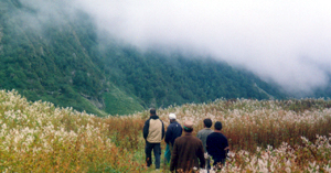 Himachal Tour