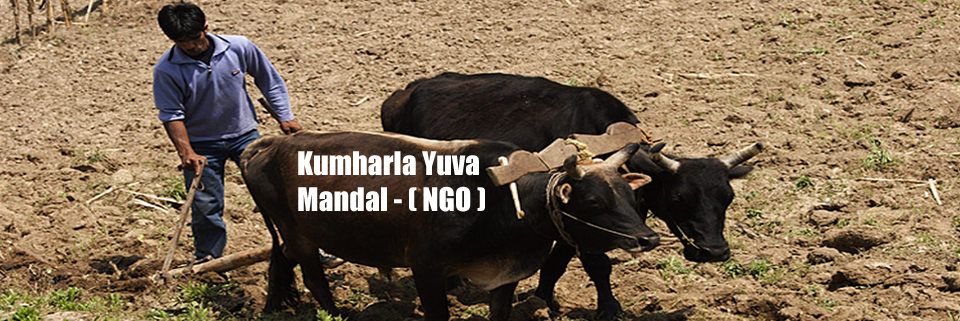 Welcome to Kumharla yuva mandal, a small organization supporting children, women and our community throughout pabbar valley